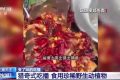 流量至上催生獵奇式吃播 多管齊下如何剎住“吃奇”之風？縮略圖