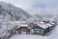 降溫要來了！1月11日—15日陜西多雨雪天氣 陜北降溫8-10 ℃縮略圖