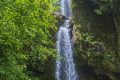 大霧黃色預(yù)警！漢中這些地方能見度低→縮略圖