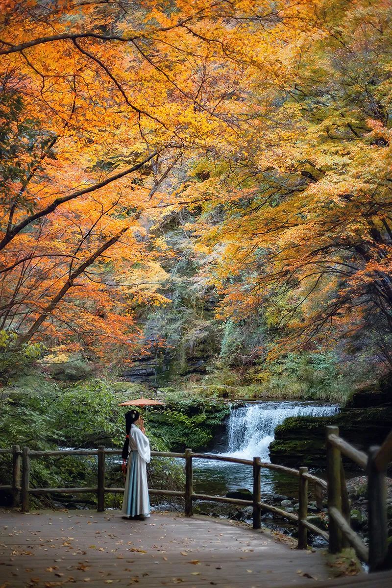 10月1日，漢中黎坪景區(qū)秋高氣爽、景色秀美，還不擁擠，趕緊出發(fā)嘍！