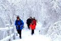 隨著冷空氣的抵達，陜西迎來一份雨雪、降溫、吹風天氣過程縮略圖