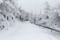 雨夾雪！小雪！小到中雪！漢中氣象發(fā)布黃色預(yù)警信號→縮略圖