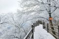 龍頭山今日又下雪啦，每一幀都是“限定浪漫”！縮略圖