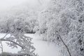 漢江源冰雪季 | 賞雪、嬉雪、看冰瀑，邂逅冬日的浪漫縮略圖