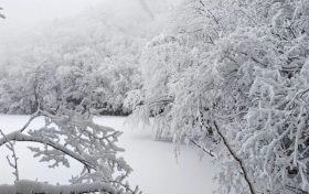 局地積雪可達10cm！冰雪路面如何安全行車？縮略圖