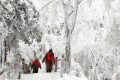 【鬧元宵·賞雪景】一起去漢江源看雪吧！縮略圖